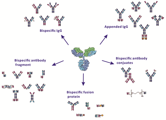 1650615040112347.png 4.png